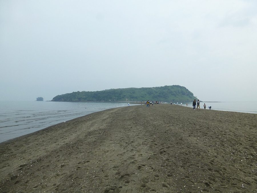 知林ヶ島