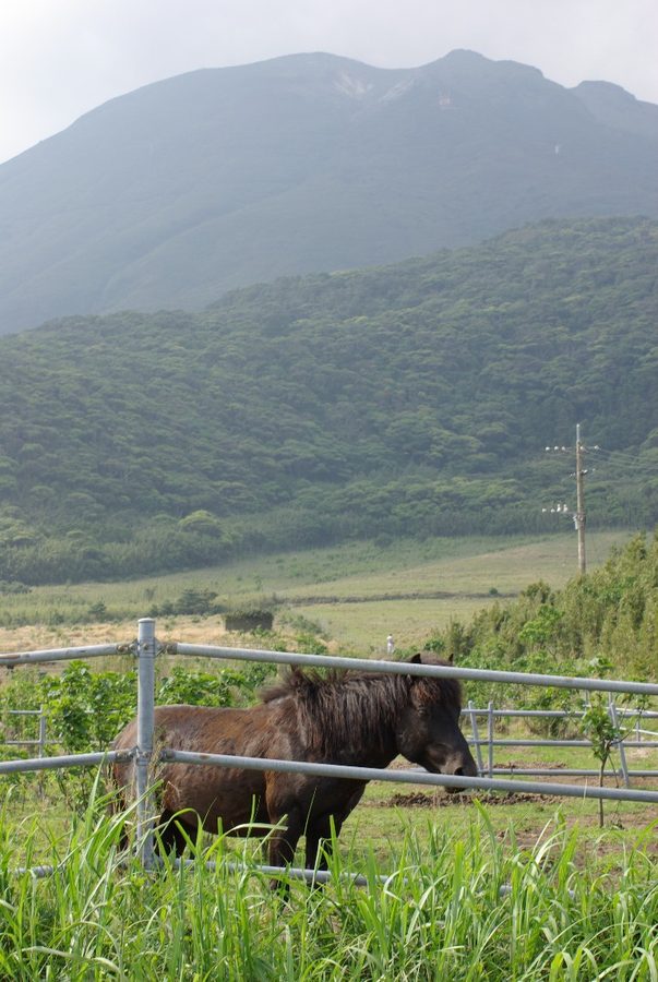 トカラウマと中之島の主峰・御岳